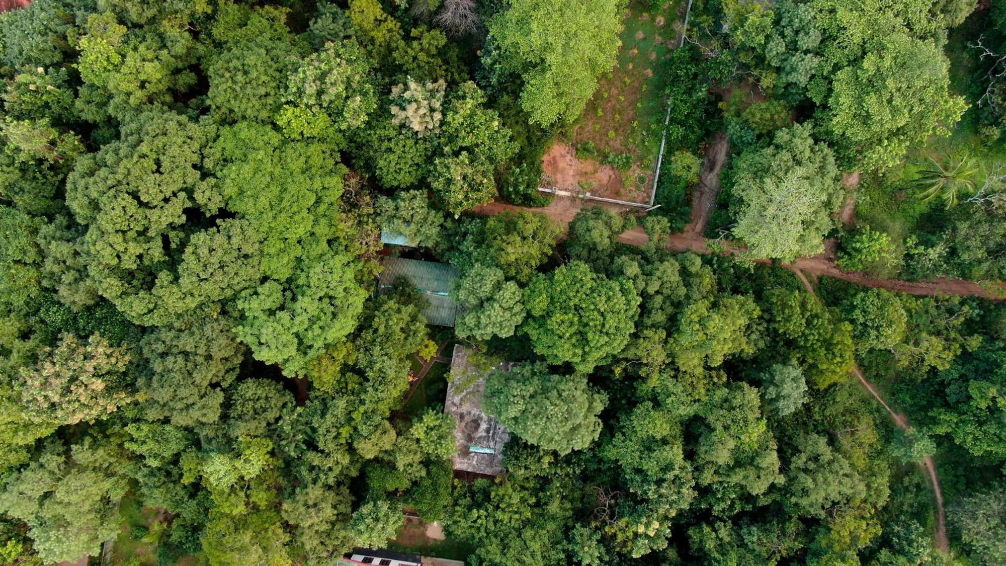 Woodsy Villa Sigiriya Exterior photo