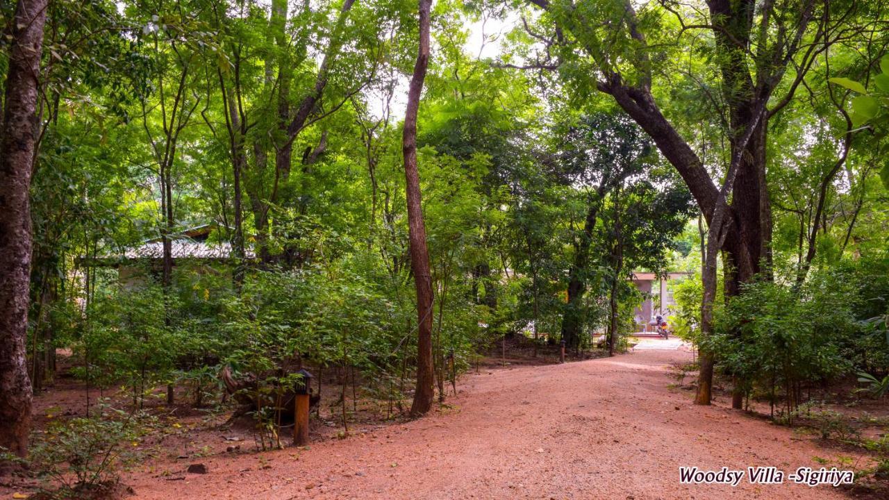 Woodsy Villa Sigiriya Exterior photo